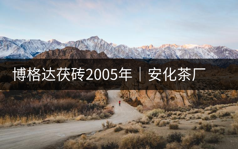 博格達(dá)茯磚2005年｜安化茶廠定制款，金花滿披，梅山韻濃！