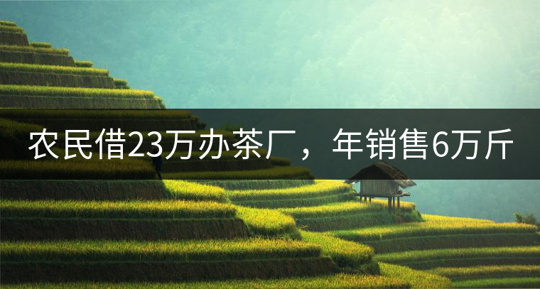 農(nóng)民借23萬辦茶廠，年銷售6萬斤，每天休息僅20分鐘!農(nóng)民借23萬辦茶廠，年銷售6萬斤，每天休息僅20分鐘！