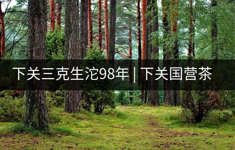 下關(guān)三克生沱98年 | 下關(guān)國營茶廠出口料，干倉儲存，...下關(guān)三克生沱98年 | 下關(guān)國營茶廠出口料，干倉儲存，19年老茶！