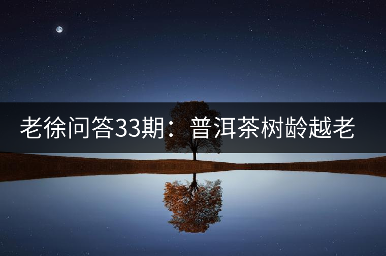 老徐問答33期：普洱茶樹齡越老越貴，那100年樹齡的老班章呢？