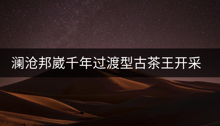 瀾滄邦崴千年過(guò)渡型古茶王開(kāi)采瀾滄邦崴千年過(guò)渡型古茶王開(kāi)采