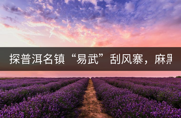 探普洱名鎮(zhèn)“易武”刮風(fēng)寨，麻黑，落水洞!小編親自下...探普洱名鎮(zhèn)“易武”刮風(fēng)寨，麻黑，落水洞！小編親自下手“殺青”