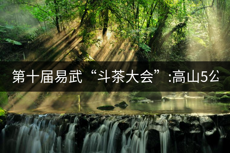 第十屆易武“斗茶大會(huì)”:高山5公斤15萬，刮風(fēng)寨5公斤...第十屆易武“斗茶大會(huì)”：高山5公斤15萬，刮風(fēng)寨5公斤30萬...