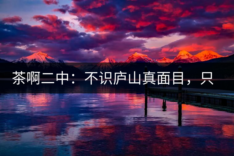 茶啊二中：不識廬山真面目，只識彎弓射大雕，賈淳真搞笑