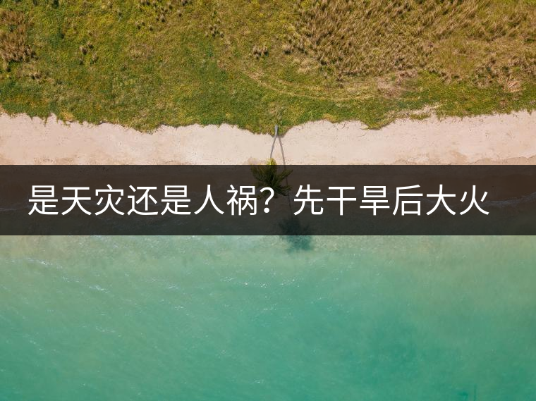 是天災(zāi)還是人禍？先干旱后大火，普洱茶將何去何從？