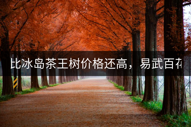 比冰島茶王樹價(jià)格還高，易武百花潭高桿古樹茶以100萬成...比冰島茶王樹價(jià)格還高，易武百花潭高桿古樹茶以100萬成交