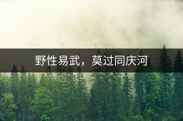 野性易武，莫過同慶河