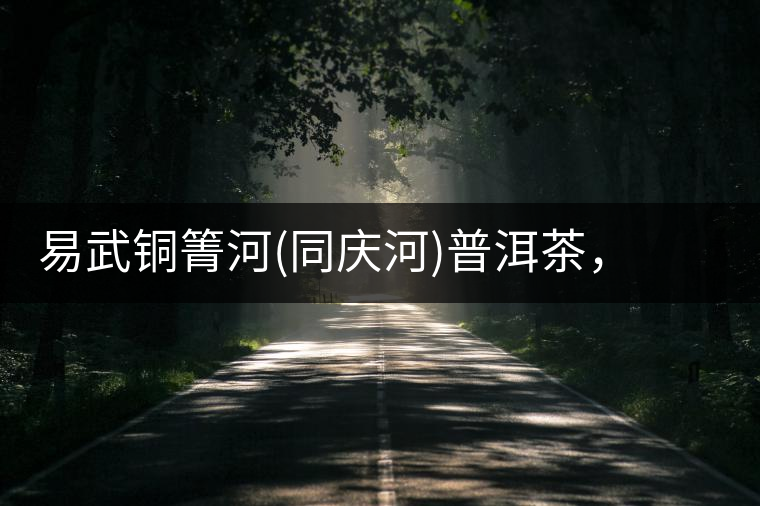 易武銅箐河(同慶河)普洱茶，讓我拜倒的不止它的口感易武銅箐河（同慶河）普洱茶，讓我拜倒的不止它的口感