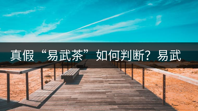 真假“易武茶”如何判斷？易武普洱茶有哪些特點(diǎn)？