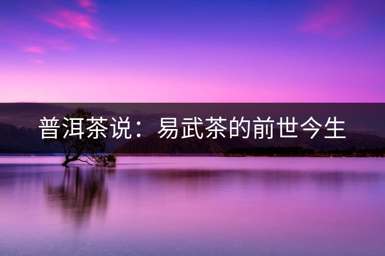 普洱茶說(shuō)：易武茶的前世今生