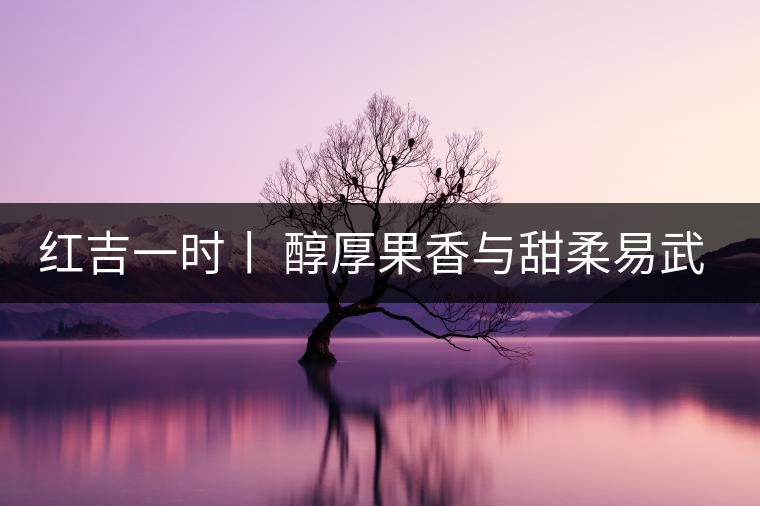 紅吉一時丨 醇厚果香與甜柔易武茶封存成溫煦風(fēng)味