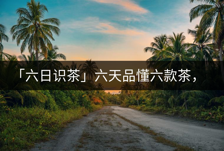 「六日識茶」六天品懂六款茶，從此愛上山頭茶