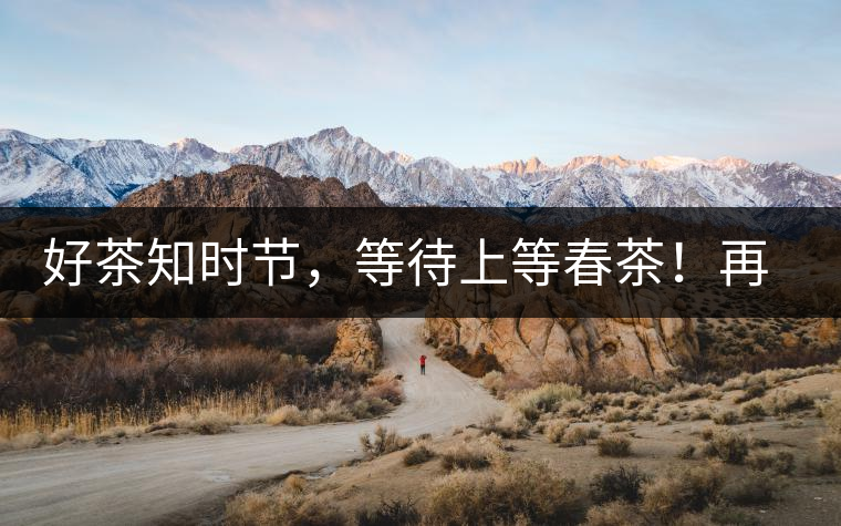 好茶知時(shí)節(jié)，等待上等春茶！再來(lái)回味這些年喝過(guò)的小戶賽古樹(shù)春茶