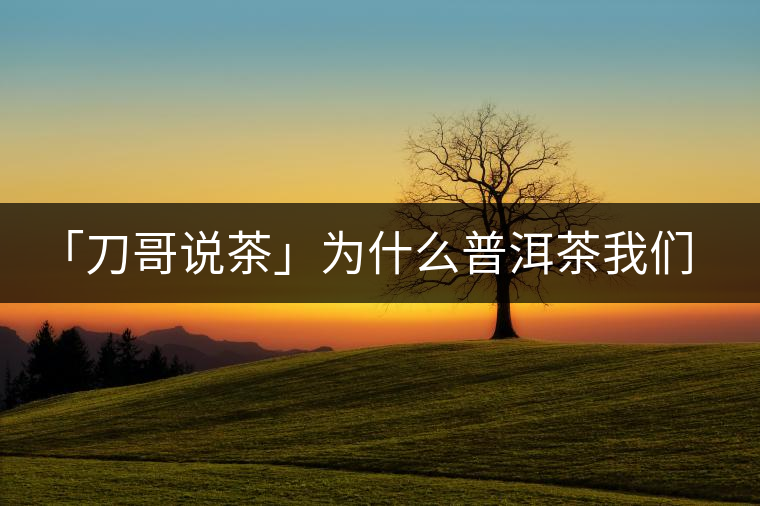 「刀哥說茶」為什么普洱茶我們情愿選三無？