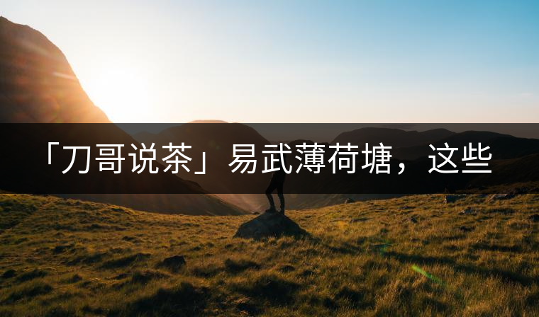 「刀哥說(shuō)茶」易武薄荷塘，這些冷知識(shí)你該知道