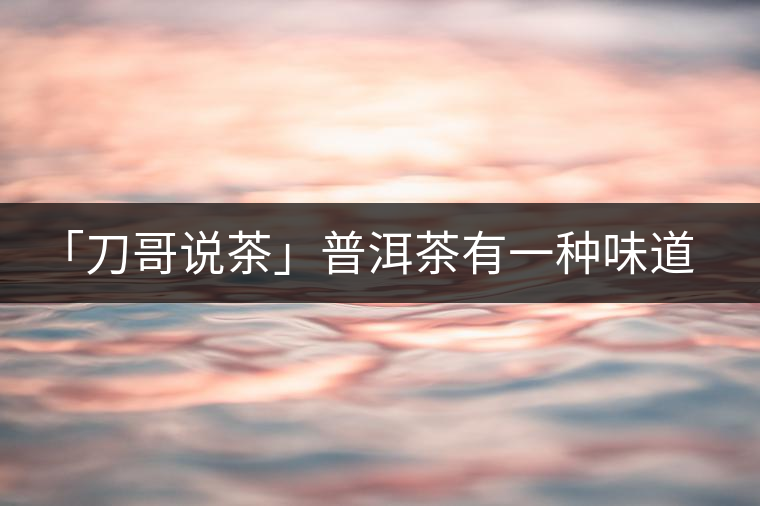 「刀哥說茶」普洱茶有一種味道，只可意會(huì)不可言傳