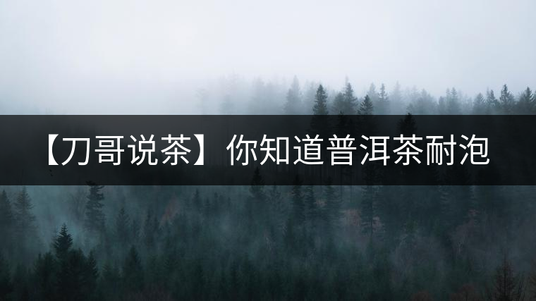 【刀哥說茶】你知道普洱茶耐泡，那你知道哪一類普洱茶比較耐泡？