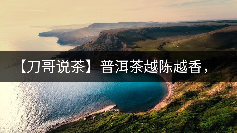 【刀哥說茶】普洱茶越陳越香，為什么新茶更受歡迎？