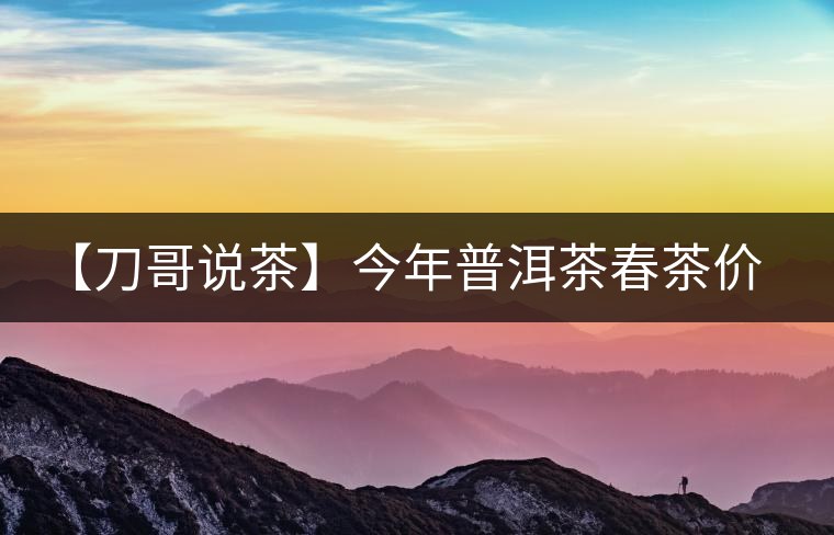 【刀哥說(shuō)茶】今年普洱茶春茶價(jià)格，我不預(yù)測(cè)
