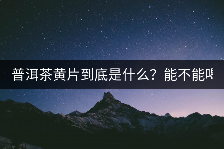普洱茶黃片到底是什么？能不能喝？