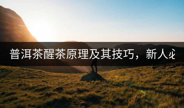 普洱茶醒茶原理及其技巧，新人必備！