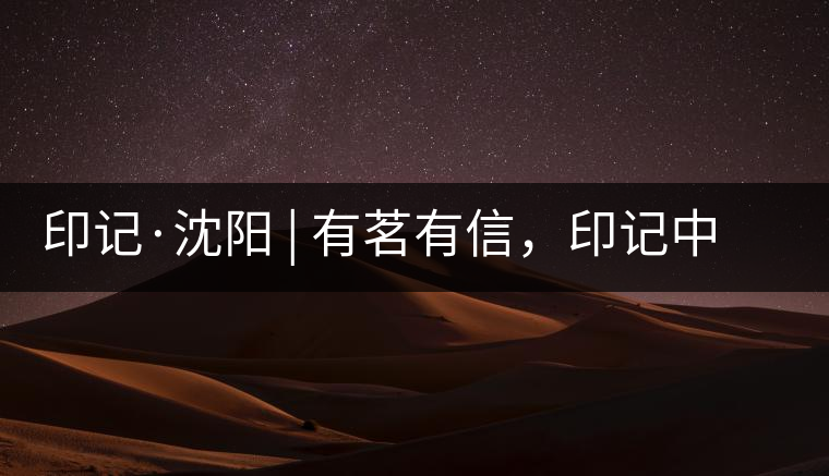 印記·沈陽 | 有茗有信，印記中茶，中茶普洱亮相沈陽茶博會