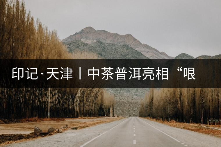 印記·天津丨中茶普洱亮相“哏都”茶博會 印記·天津丨中茶普洱亮相“哏都”茶博會