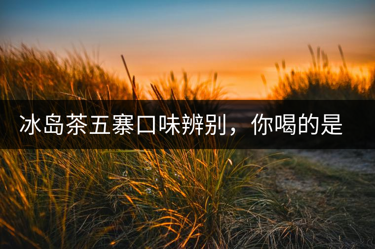 冰島茶五寨口味辨別，你喝的是正宗冰島茶嗎?冰島茶五寨口味辨別，你喝的是正宗冰島茶嗎？