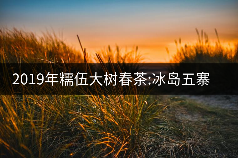 2019年糯伍大樹春茶:冰島五寨甜柔口感的代表，售價不...2019年糯伍大樹春茶：冰島五寨甜柔口感的代表，售價不到500