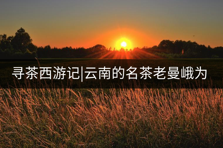 尋茶西游記|云南的名茶老曼峨為什么這么多人愛，這里...尋茶西游記｜云南的名茶老曼峨為什么這么多人愛，這里給你答案！