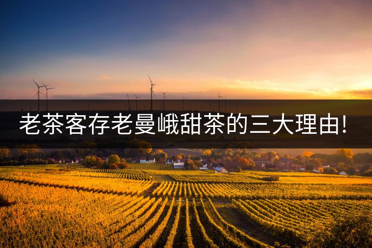 老茶客存老曼峨甜茶的三大理由!老茶客存老曼峨甜茶的三大理由！