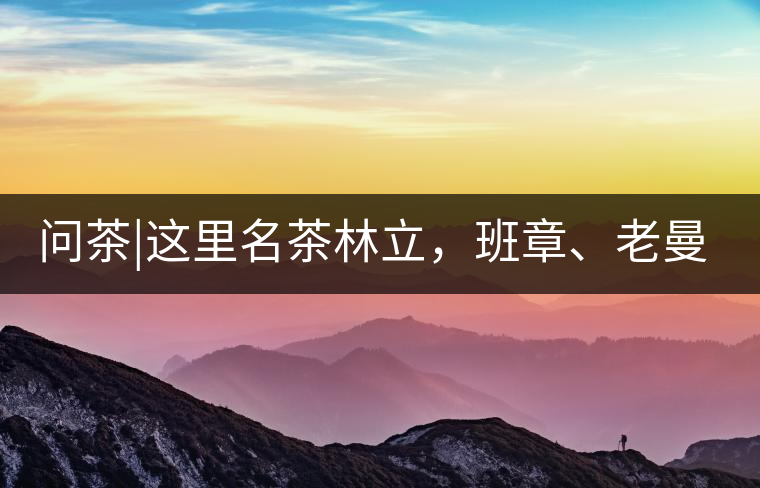 問(wèn)茶|這里名茶林立，班章、老曼峨皆在其列!問(wèn)茶｜這里名茶林立，班章、老曼峨皆在其列！