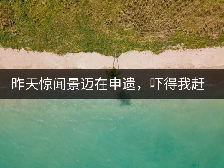 昨天驚聞景邁在申遺，嚇得我趕緊拿出景邁茶……昨天驚聞景邁在申遺，嚇得我趕緊拿出景邁茶……