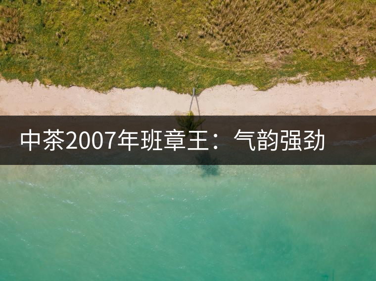 中茶2007年班章王：氣韻強勁，蜂蜜水般甜潤，一直被老茶客撿漏