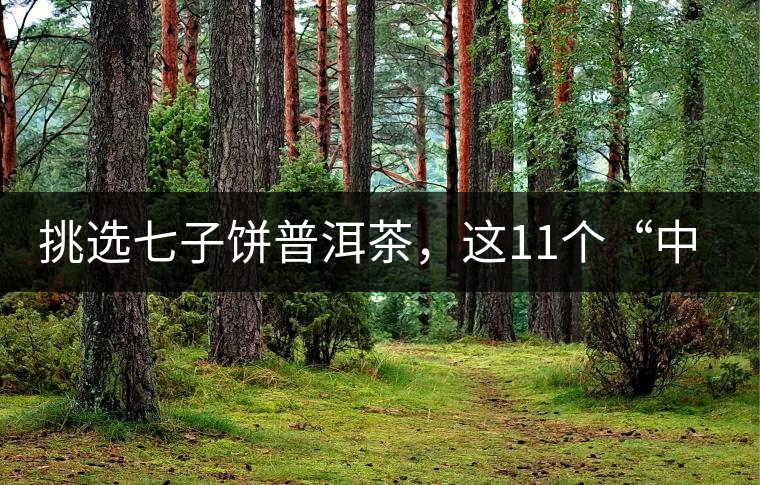 挑選七子餅普洱茶，這11個(gè)“中茶”標(biāo)志千萬別弄混!挑選七子餅普洱茶，這11個(gè)“中茶”標(biāo)志千萬別弄混！