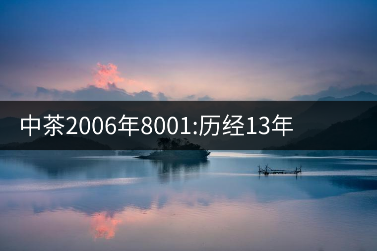 中茶2006年8001:歷經13年陳，中茶“紅印圓茶”經典再現