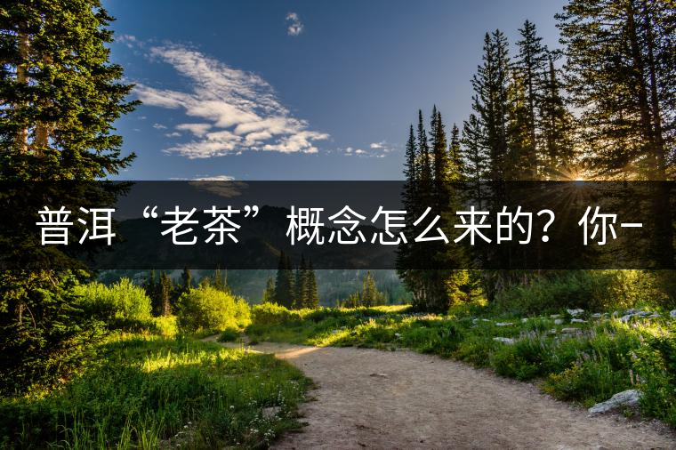 普洱“老茶”概念怎么來的？你一定想不到！