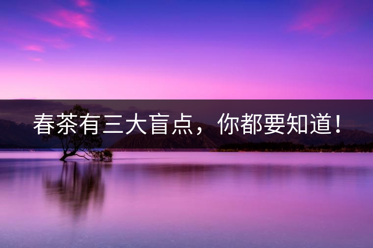 春茶有三大盲點，你都要知道！