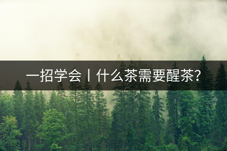 一招學會丨什么茶需要醒茶？