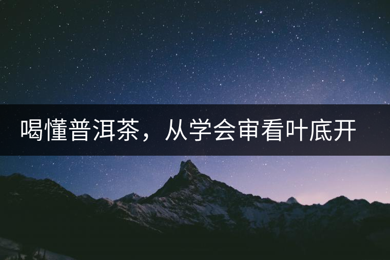 喝懂普洱茶，從學會審看葉底開始