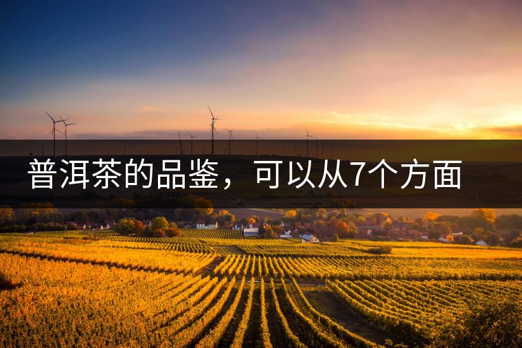 普洱茶的品鑒，可以從7個(gè)方面著手