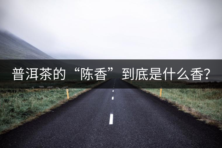 普洱茶的“陳香”到底是什么香？