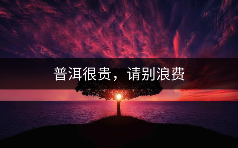 普洱很貴，請(qǐng)別浪費(fèi)