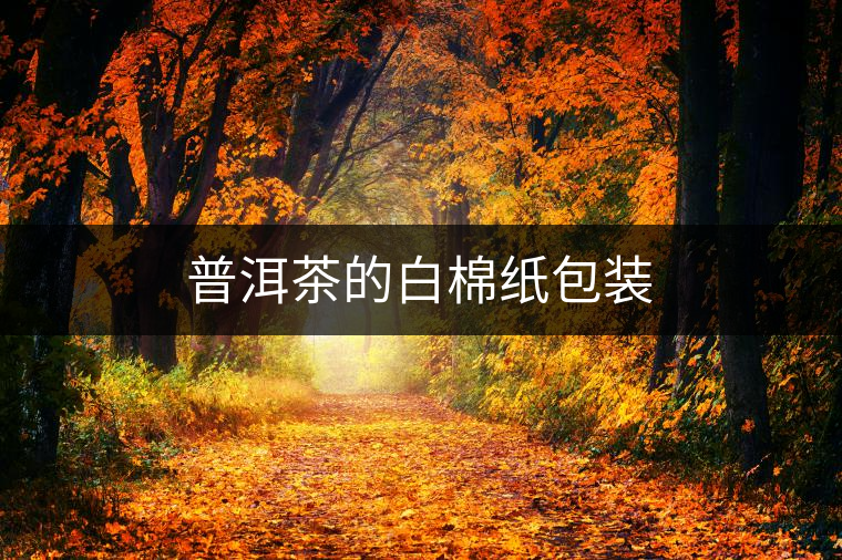 普洱茶的白棉紙包裝