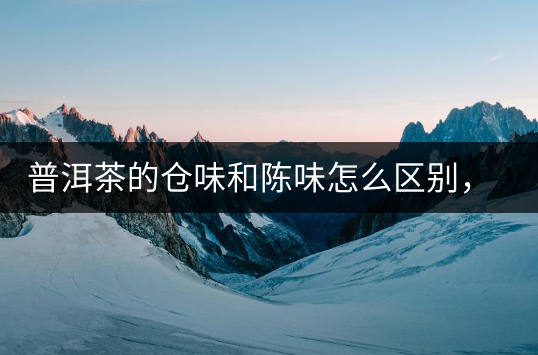 普洱茶的倉味和陳味怎么區(qū)別，如何避免？