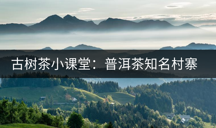 古樹(shù)茶小課堂：普洱茶知名村寨的生態(tài)環(huán)境如何？