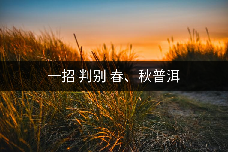 一招 判別 春、秋普洱