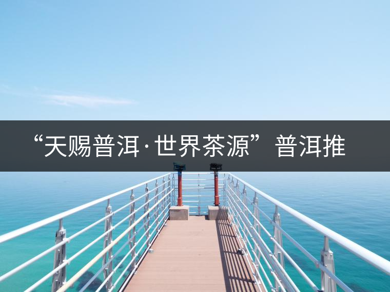 “天賜普洱·世界茶源”普洱推介活動(dòng)