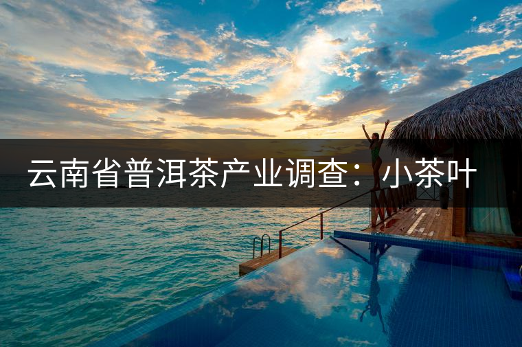 云南省普洱茶產業(yè)調查:小茶葉如何提檔升級 云南省普洱茶產業(yè)調查:小茶葉如何提檔升級