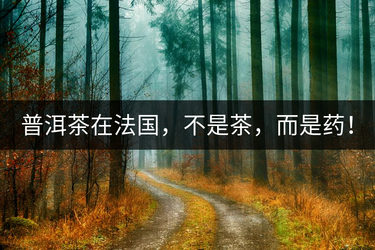 普洱茶在法國，不是茶，而是藥！